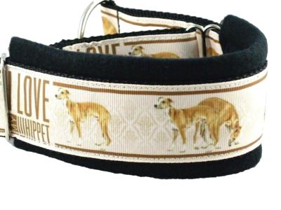 Hundehalsband, Windhundhalsband "Whippet" gepolstert SM 35 bis 40 cm |  eBay.de