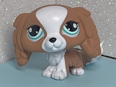 lps king charles spaniel