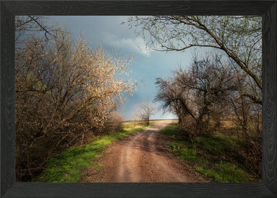 April road Framed Wall Art Poster Canvas Print Picture