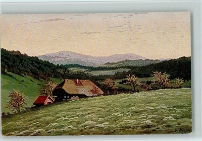 10155563 - sign Nessel - Schwarzwald Serie VI Nr. 17 AK Schwarzwald Maler 1919