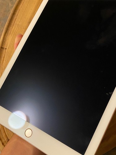 Apple iPad Pro 9.7 In 1st Generation 128GB Rose Gold, Unlocked Factory Reset - Picture 5 of 5