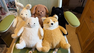 NEU MIT ETIKETT Jellycat Amore Plüsch Kollektion - Hund   weiße/schwarze Katze   Kaninchen   Corgi