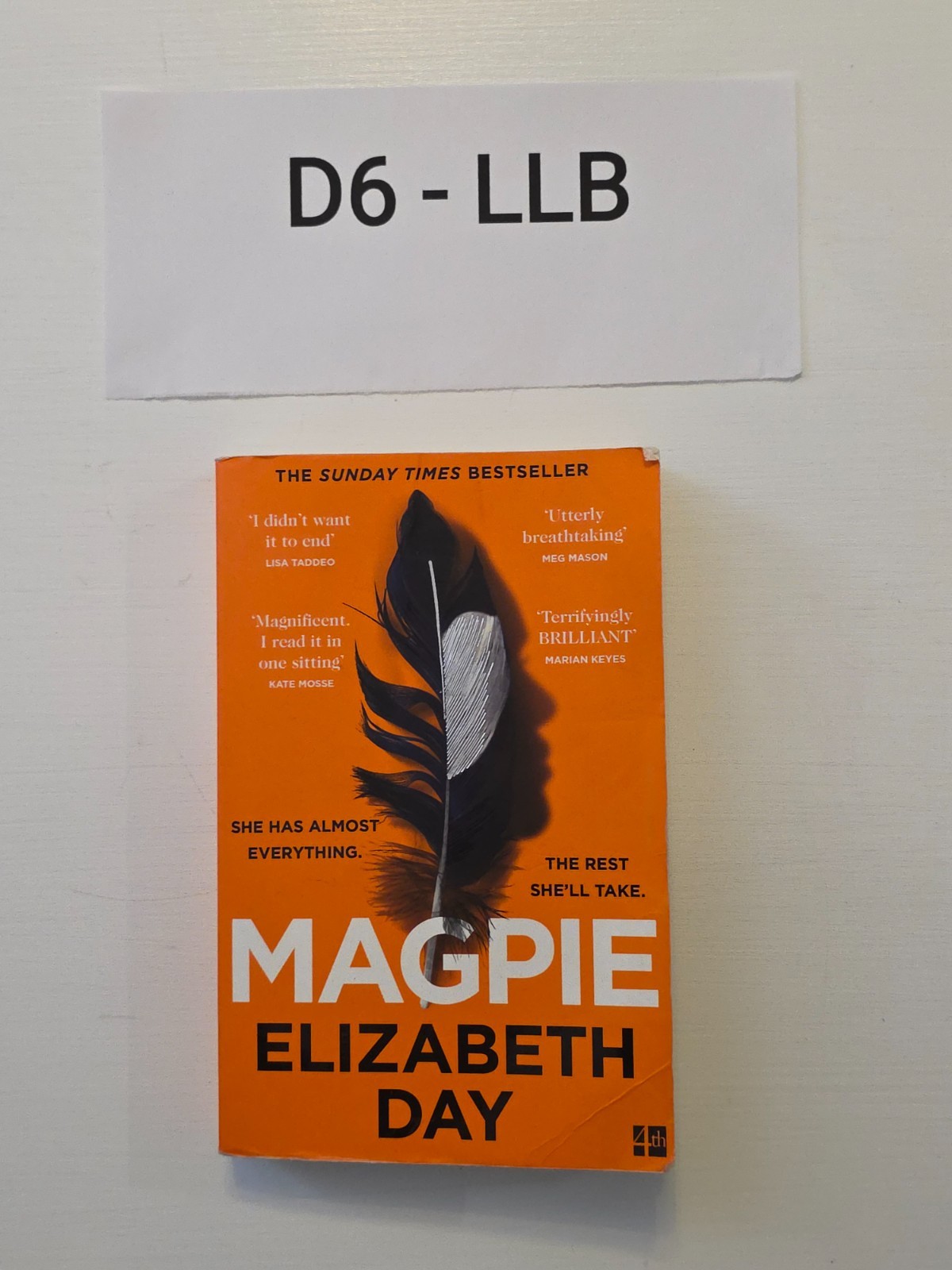 Magpie by Elizabeth Day Book NEW Paperback Novel