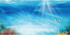 Undersea Aquarium Backdrop Underwater Coral Fish Tank Background 48x18 in