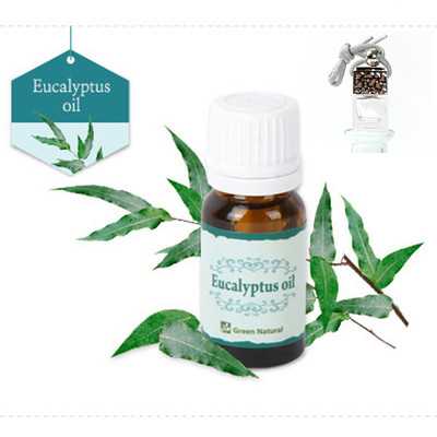 Eucalyptus Oil Car Vehicle Air Freshener Essential Diffuser Silver