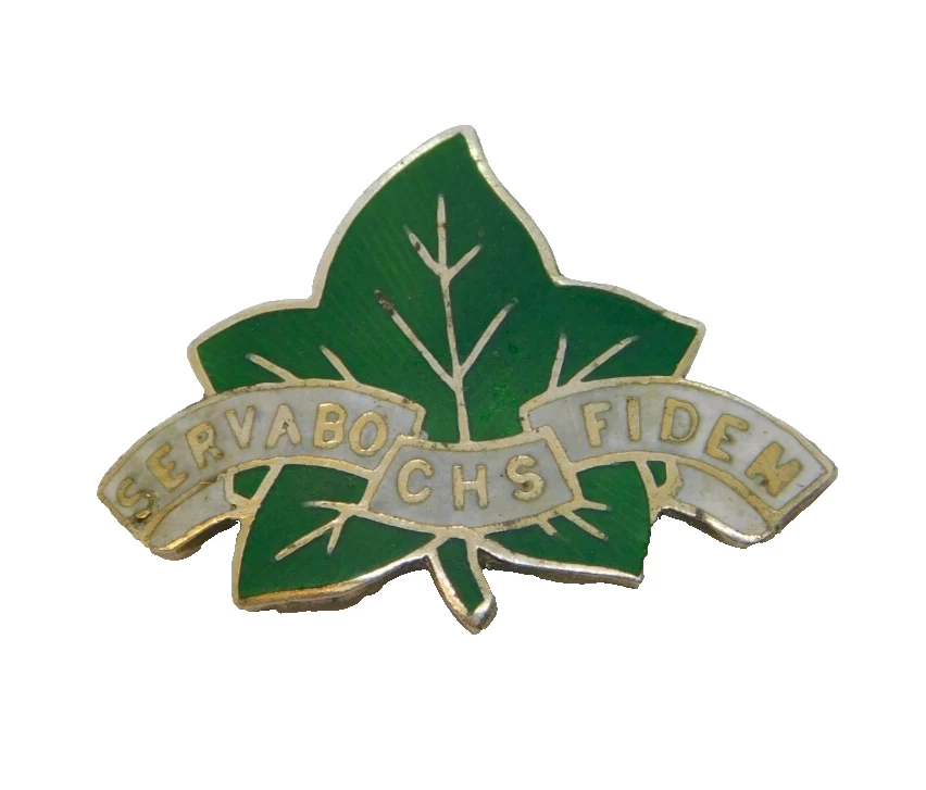 Sterling Silver Enamel Crofton House School Brooch Pin Vintage c1970