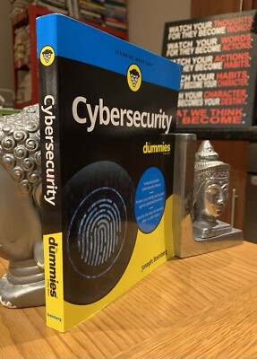 Cybersicherheit für Dummies von Joseph Steinberg  *sehr guter Zustand*  (PB/2019)