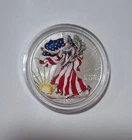 1999 1 oz .999 Silver Dollar American Eagle Painted Walking Liberty