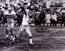 Daryle Lamonica Signed AFL Raiders Football 16x20 Photo BAS COA Picture Auto'd