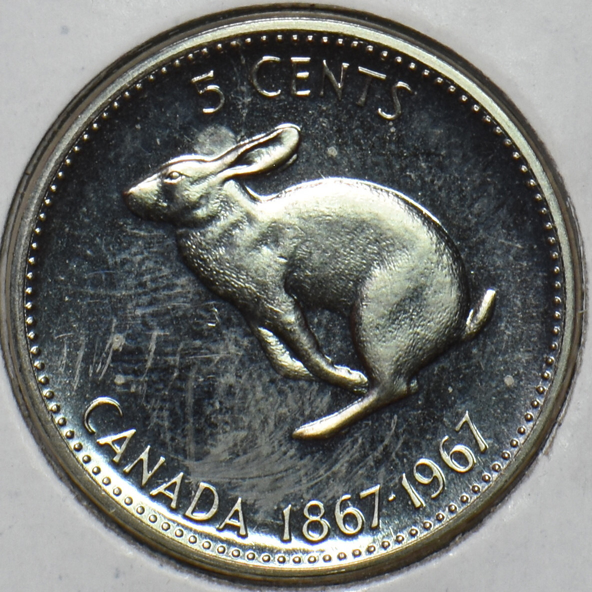 Canada 1967 5 Cents Rabbit animal Proof Like 152155 combine shipping | eBay