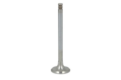 Auslassventil für GEHL 6635, SL5635DX, SL5635SX, SL5635SXT; LIEBHERR A308, R308