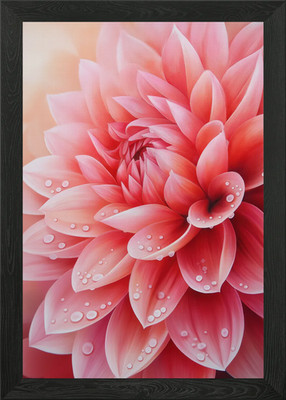 Rosa Dahlie mit Tautropfen gerahmtes Wandbild Poster Leinwanddruck Bild