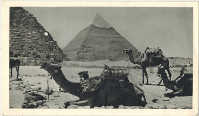1947-Kneipenkarte ''Ionyl-Kairo-Die Pyramiden-König Faruk-Y/v.Pa.33-C.78