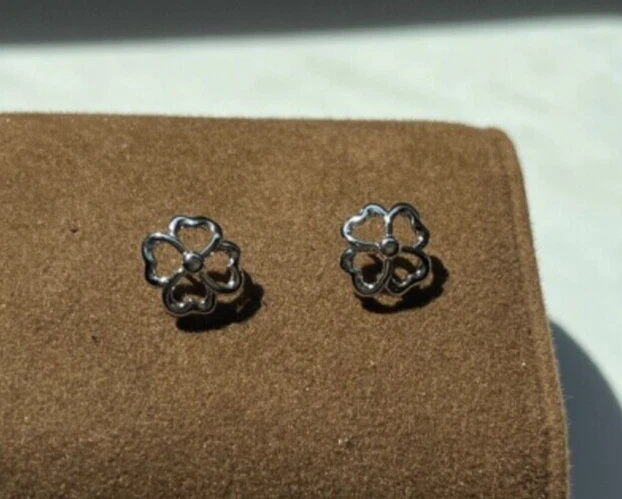 Pendientes Swarovski de plata de ley Foto 4 de 4