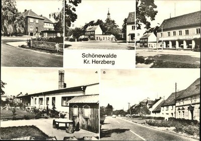 Schoenewalde Herzberg Otto Nail High School Children's Flu Pitt