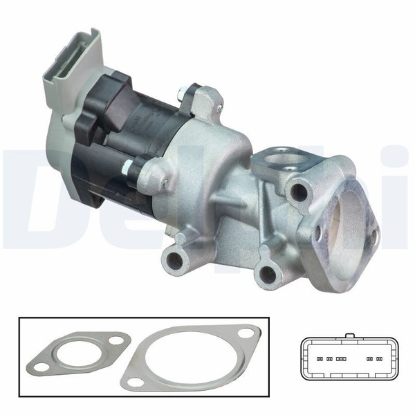 Delphi Agr-Ventil EG10529-12B1 FüR Land Rover-image