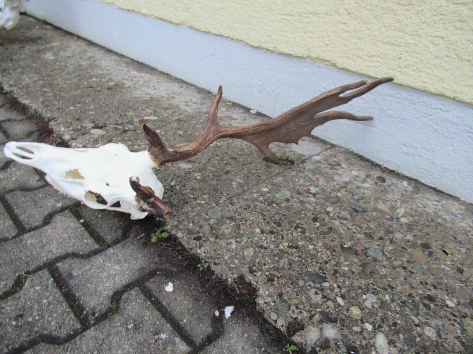Bild 3 von 4