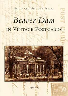 NEW Arcadia Publishing Beaver Dam in Vintage Postcards, WI 9780738539737 Postcar