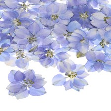 48-Pack Dried Pressed Flowers for Resin, Real Natural Bulk Dry Floral Purple 