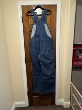 Patagonia overalls