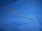 1987 GI JOE ARAH CROC MASTER WHIP LASH PART ACCESSORY
