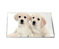 Dog Puppy 2 Year Pocket Calendar Planner 2026 - 2027 w Notepad Lab