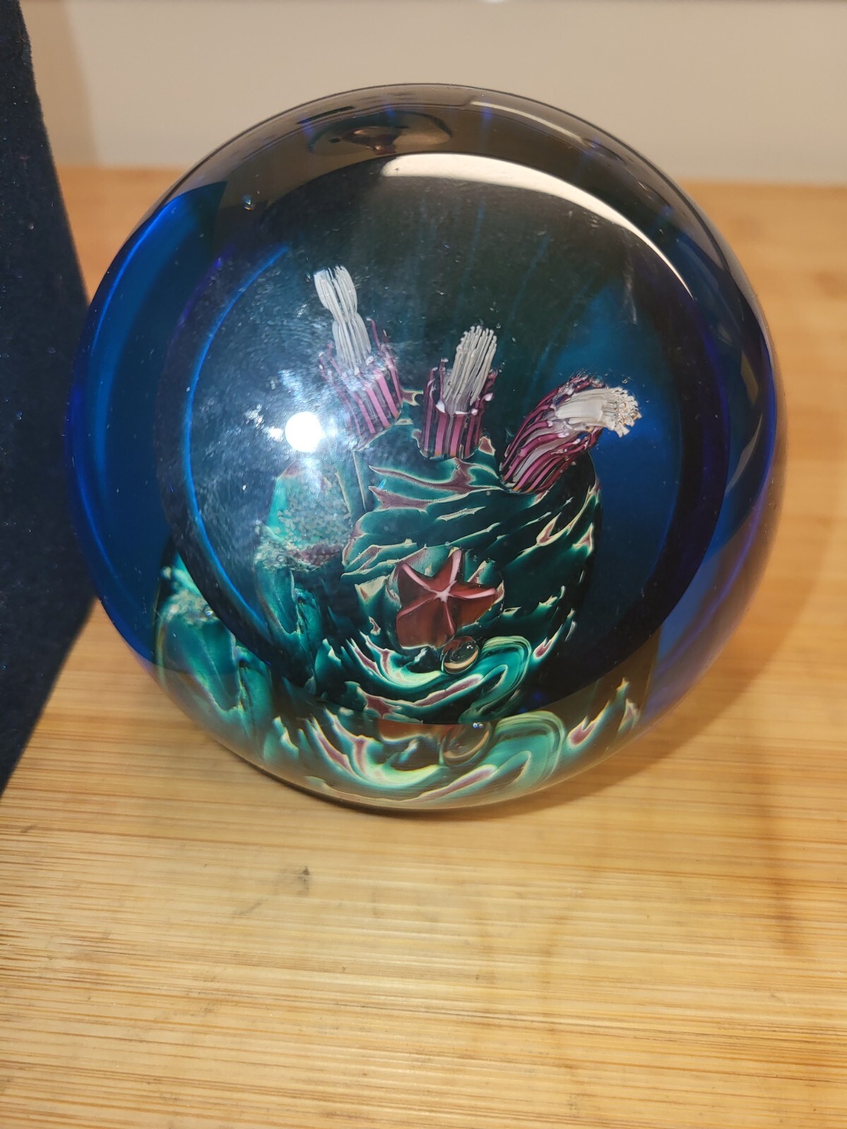 Glass Eye Studio Environmental Series Grotto Paperweight Falak Tayyeb Platinum Government