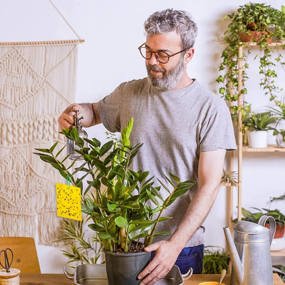 Gelbsticker 60 Stück, Trauermücken Bekämpfen, Gelbtafeln Trauermücken Gegen Klei - Bild 4 von 4