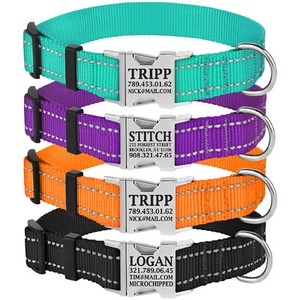custom engraved dog collars