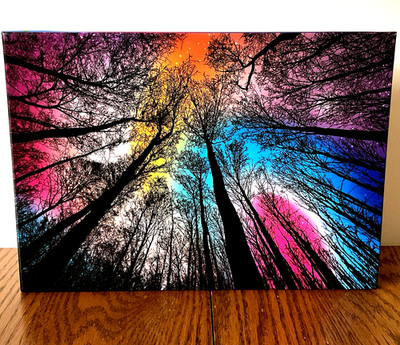 FOREST UNDER STARRY NIGHT Bgraamiens Jigsaw Puzzle  1000 Pieces with Poster