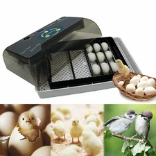 12 Eggs Incubator Digital Automatic Egg Hatcher Chicken Bird Quail Egg Incubator