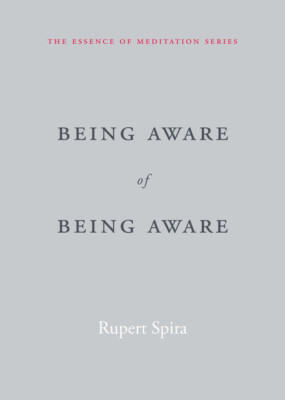 Being Aware of Being Aware: The Essence of Meditation, Volume 1