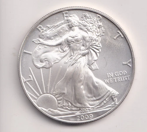 2009 WALKING LIBERTY AMERICAN EAGLE .999 FINE SILVER DOLLAR COIN 1oz. $1 USA
