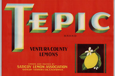 Tepic Ventura County Lemons, etiqueta de caja de frutas vintage de mediados de siglo, arte genial A2