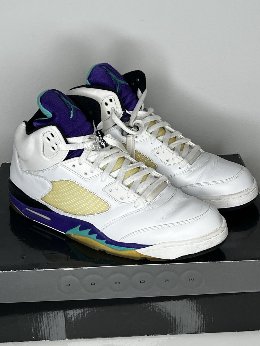 NIKE AIR JORDAN LS SIZE 16 GRAPE ICE EMERALD GREEN 2006 V RETRO