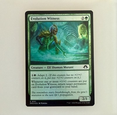 Magic the Gathering: Evolution Witness Modern Horizons 3 Foil NM