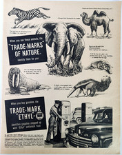 Animals Elephant Zebra Camel Walrus Ethyl Corporation Vtg 1948 Ad Magazine Print
