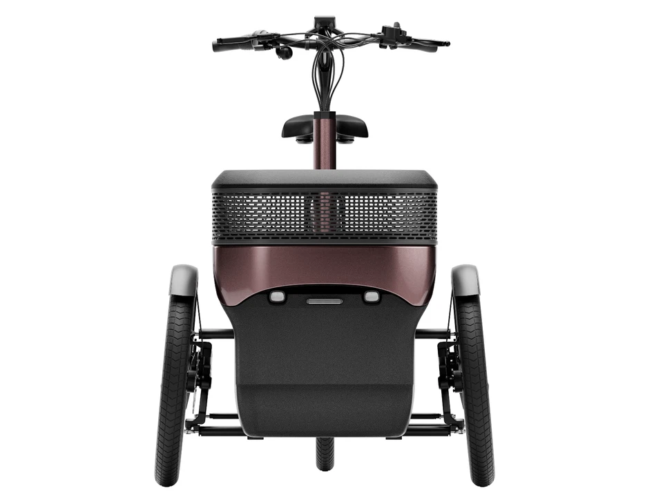 Elektrisches Van Raam Thuja Dreirad für Erwachsene NEU - Bild 4 von 4