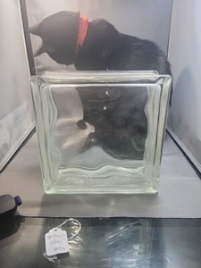 Vintage Architectural Glass Block Brick Wavy 8x8x4 (7 3/4 x 7 3/4 x 3 3/4)