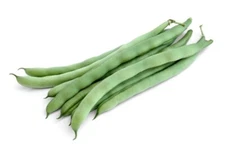 Fortex Vining French Green Bean Haricots Verts Premium Seed Packet