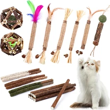 Catnip Chew Toys for Cats, 24 Pack Cat Toys with Silvervine Sticks, Natural Silv