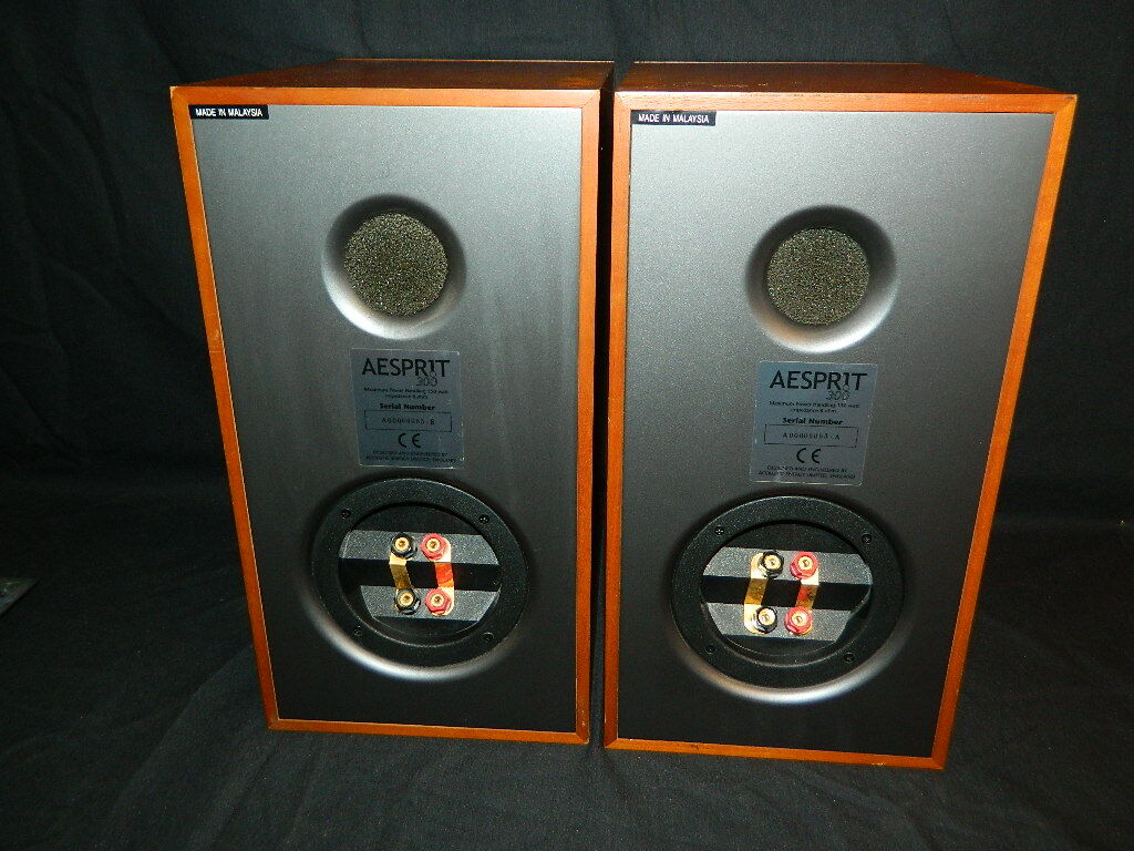 acoustic energy aesprit 300