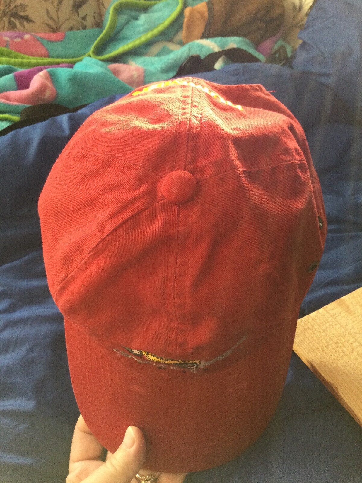 Picture 9 of 9