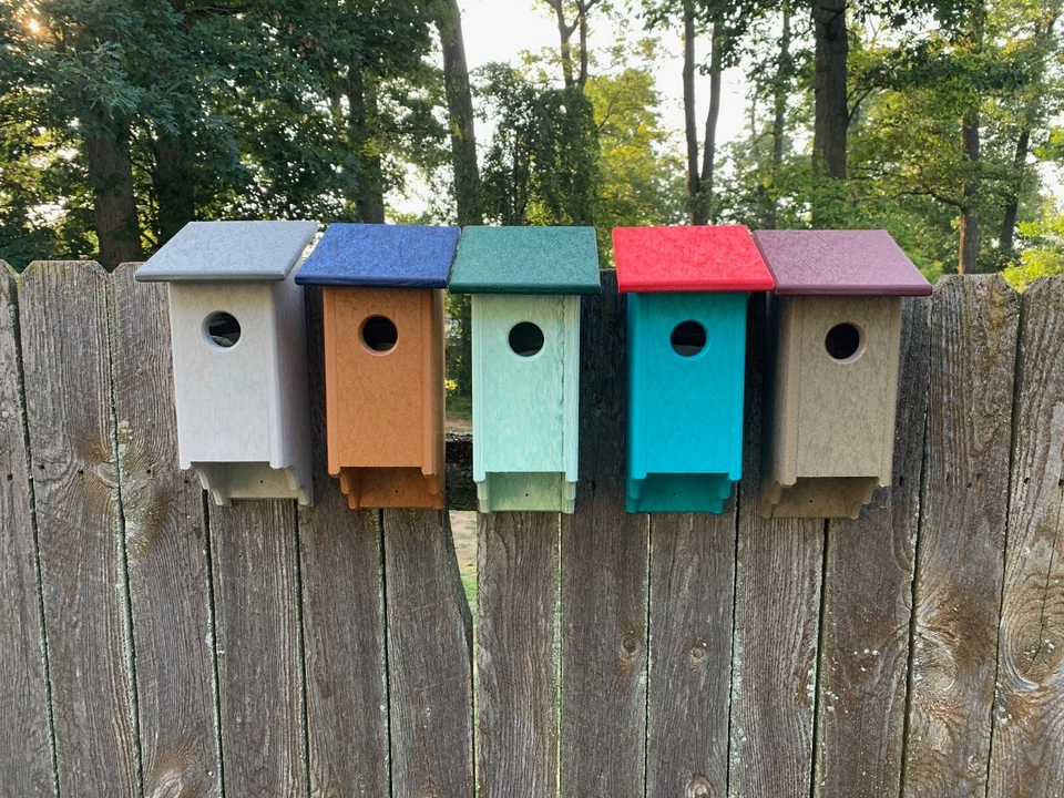 Blue Bird Bird House, Birdhouse, Bluebird, Birdhouse hecha por Amish, Poly Birdhouse, Foto 2 de 4