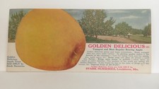 Stark's Golden Delicious Apple Ad Ink Blotter