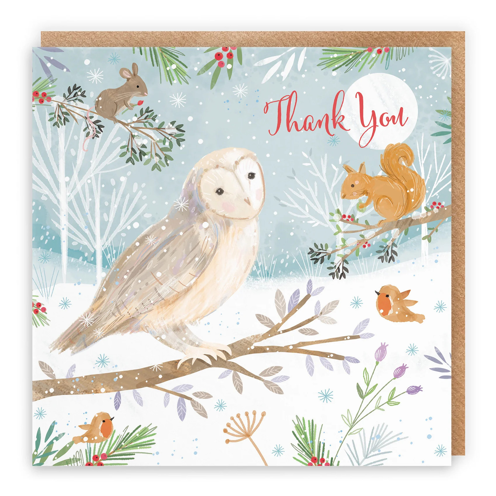 Thank You Cute Owl Christmas Card Nature's Treasures
