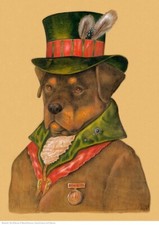 Rottweiler A3 stampa artistica poster cane di Maria Pishvanova