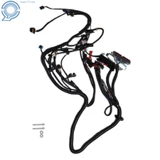 Standalone Wiring Harness LS1-T56 For 1997-06 Non-Electric Tran 4.8 5.3 6.0 DBC