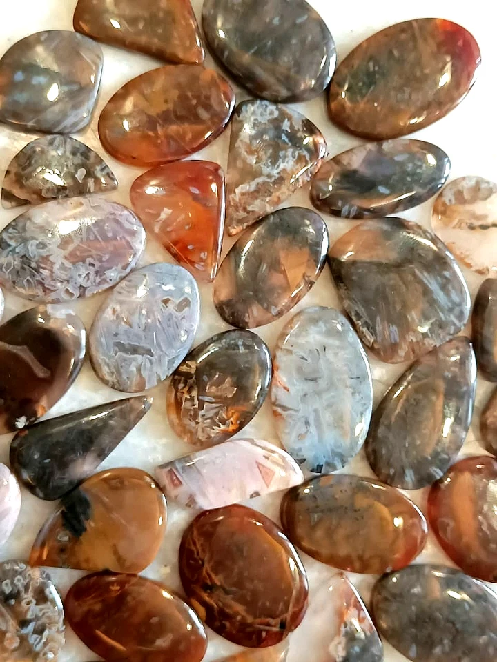 Lote de piedras preciosas sueltas de ágata en palo de pavo natural, venta al por mayor ágata en palo de pavo Foto 3 de 4