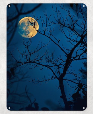 Nachthimmel orange Mond Metall Poster Wandschild Mann Höhle Schuppen Schlafzimmer Zuhause Küche